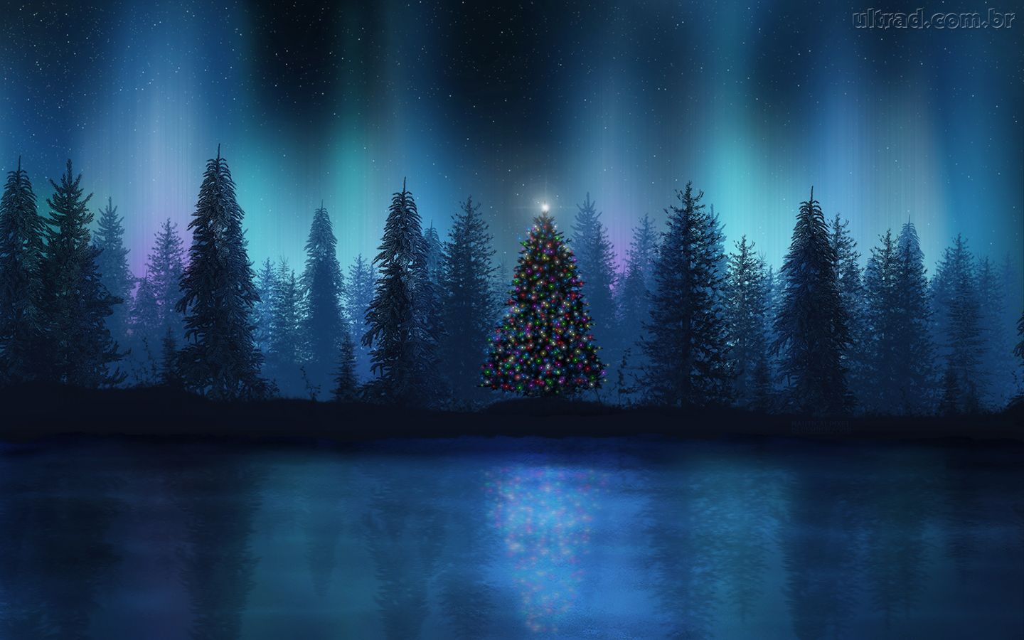 aurora borealis colorado